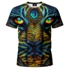 #12 - Design gratuito
