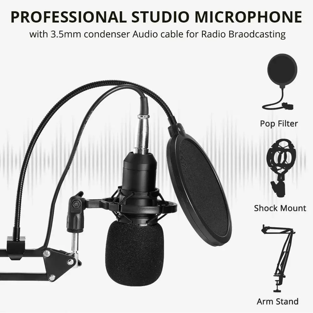 Professional A2 LIVE Sound Card Recording Interface Mixer With Recording Desktop Microphone for Podcasting