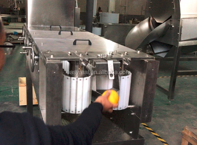 Best Price Orange Citrus Concentrate Processing Production Line Lemon Plant Juice Machine Manufacturer
