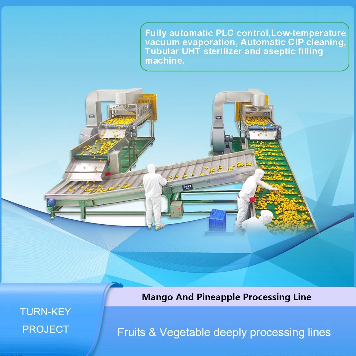 Pineapple Processing Plant Industrial Pineapple Juicer Machine Extractor Wooden Case Silver Multifunctional Fruit Juice Machine