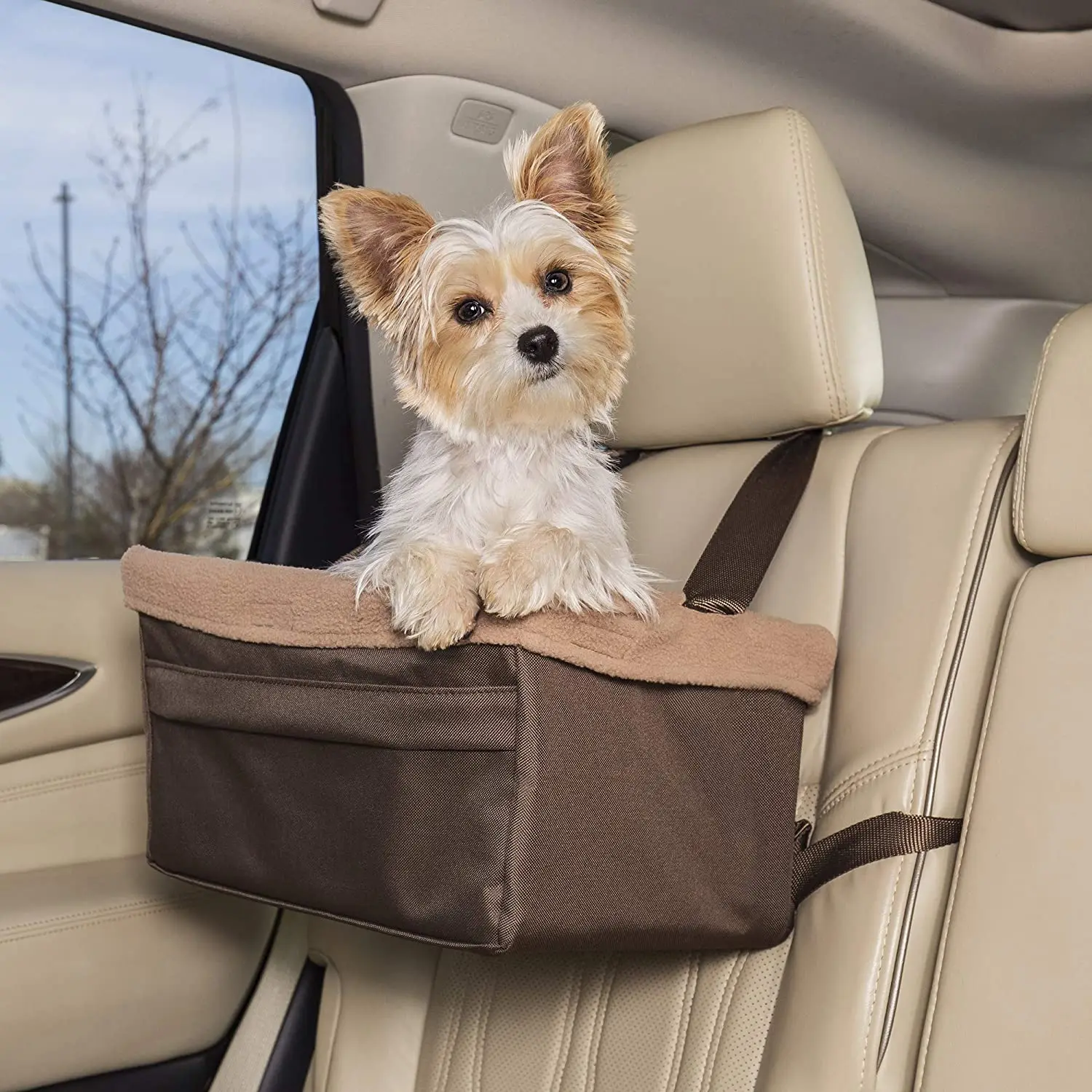 how do you transport a puppy in a car