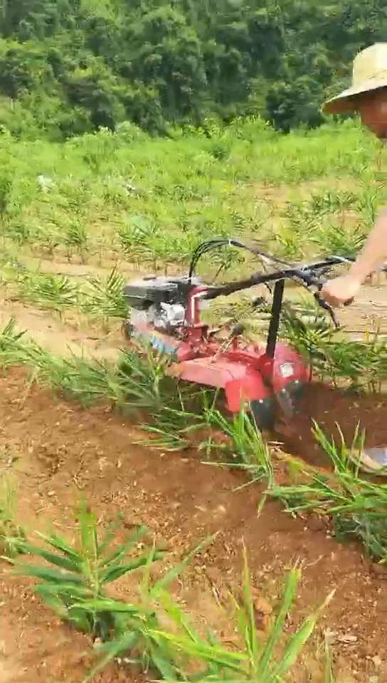Easy Operation Professional Mini Power Tiller Power Weeder Rotavator Cultivator for Sale