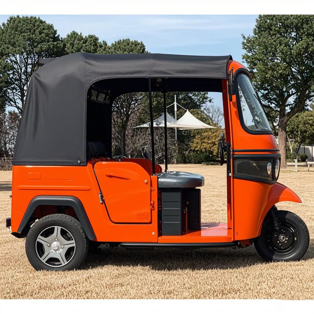 Wheel Tuk Tuk Bajaj TVS King for Passengers Pickup China