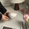 Primo incontro con la ciotola rosa da 6 pollici