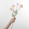 Champagne rose thé Linglong 60cm