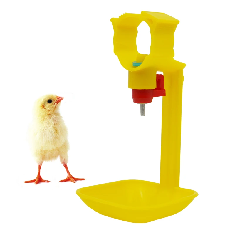 Chicken Drinker Automatic Brooding Pigeon Poultry Drinker Chicken Drip Water Nipple Cup Chicken Drinker Cups
