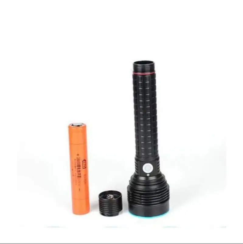 Torcia UV 365nm Ricaricabile - Luce Nera Per Rilevazione, USB
