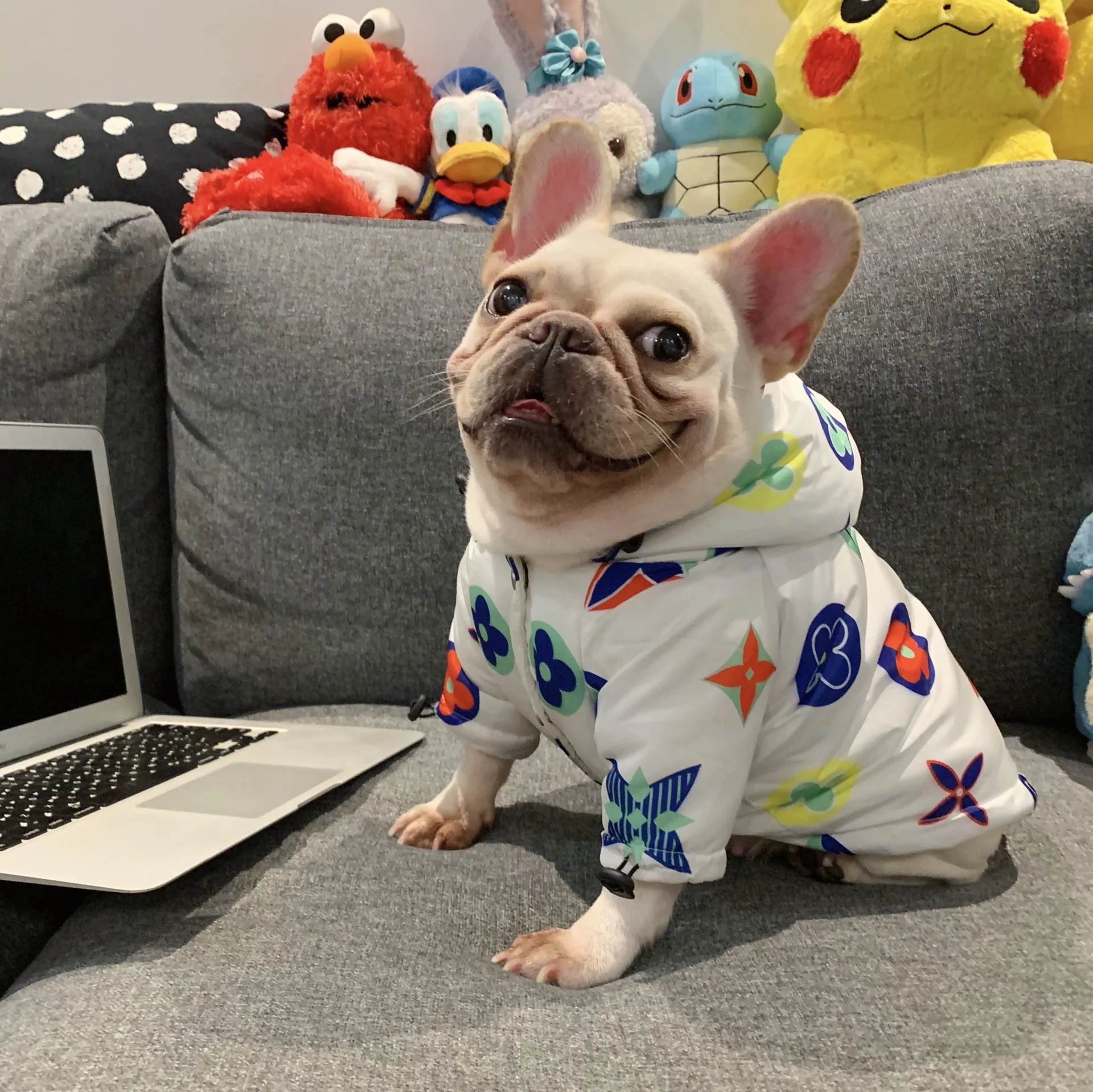 autumn winter pet clothes fashion brand designer pet dog denim