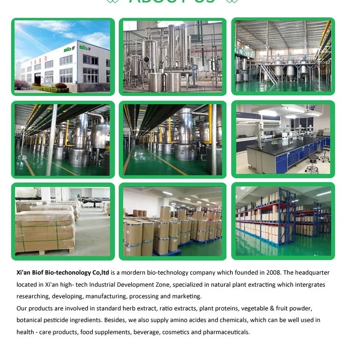 100% Pure Natural Health Care Jujube Kernel Powder Plant Extract 10:1 5