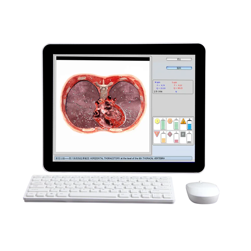 Headphone Cell Detector 9D NLS Nonlinear Analysis Physical Health Early Warning Management System Portable 18DHealth Analyzer