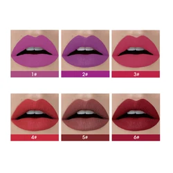 Новое поступление, водостойкая Матовая жидкая помада, набор