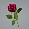 rosso rosa