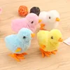 Coil chick