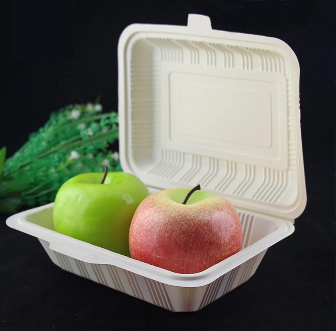 Eco Products Compostable Take Out Containers Biodegradable Takeout Wholesale