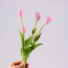 y2 light pink