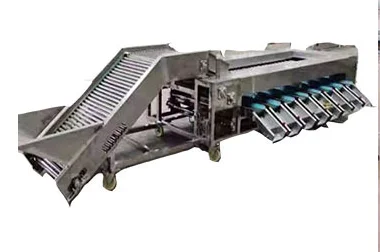 Automatic Electric mango Fruit Picking Machine Fruit Food Sorting Grading Machine Sorter Grader Machine Line