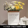 Large size 15 white and yellow daisies