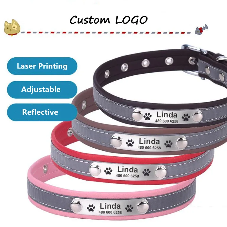 dog collar printed name