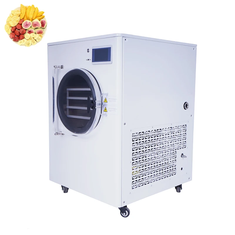 freeze drying machine Small vacuum Lab Freeze Dry machine home use mini  food freeze dryer machine