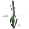 Cactus gigante - 306cm (nuevo modelo)