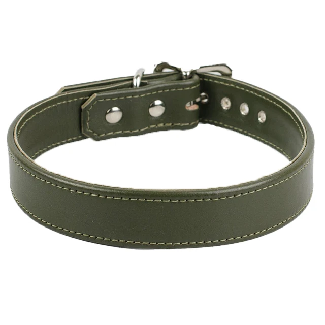 Olive dog collar Clearance