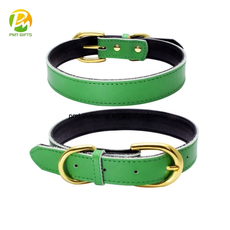 Vegan dog collar Clearance