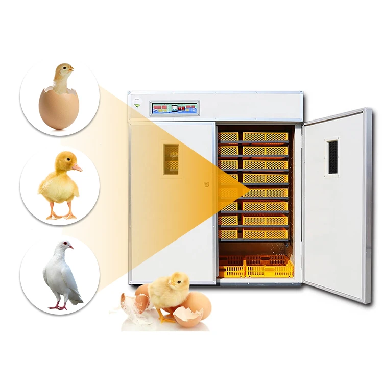 Automatic Hatching Solar Incubator/ Incubators Egg/incubator Machine for Sale Chicken 1 Set High Speed Stability Falcon 610