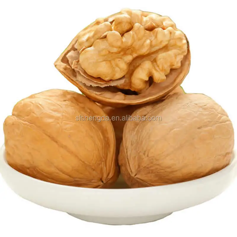 Walnut in Shell 32mm Common Raw Dried Nut Price from China