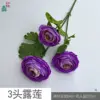 ดอกบัวน้ำค้าง 3 หัว HN สีม่วง
