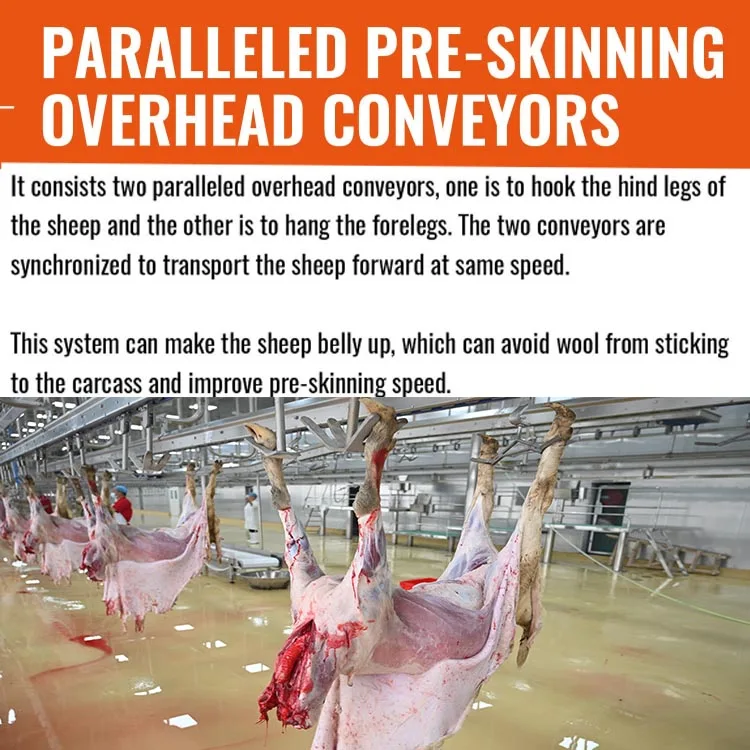Automatic High Efficiency Complete Sheep and Goat Slaughtering Line Halal Abattoir Equipment for Large Scale Slaughterhouse