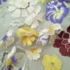 multicolored