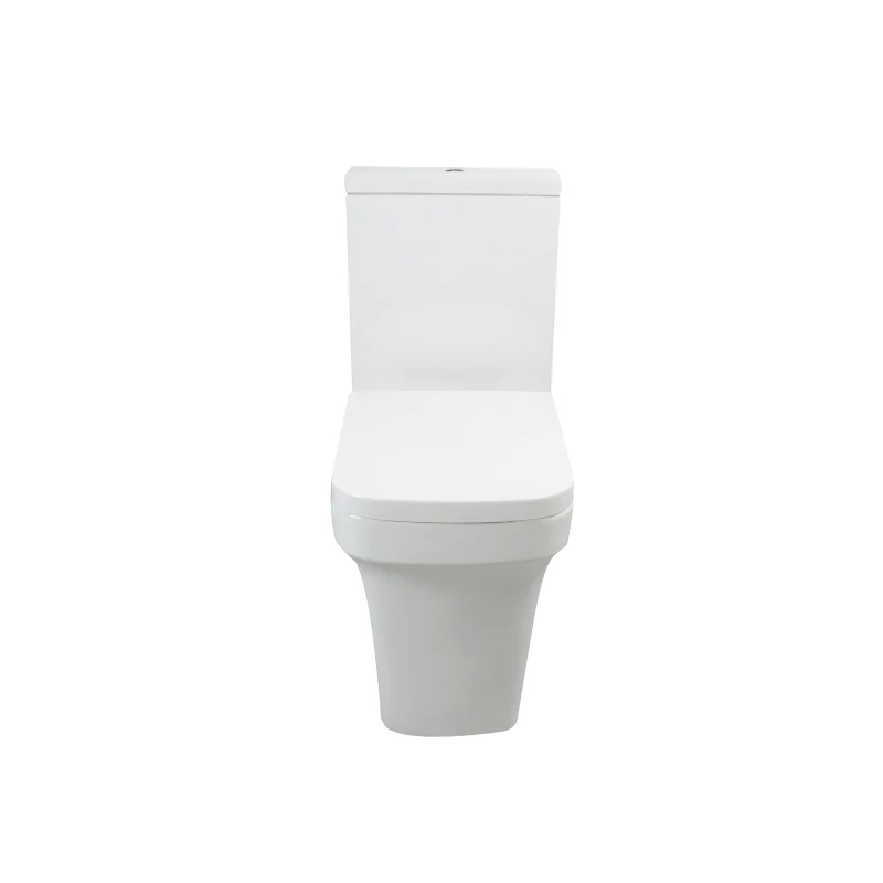 Western Commode Designer Bathroom Rimless Wholesale WC Ceramic Sanitary Toilet Bowl Toilet With Bidet Function
