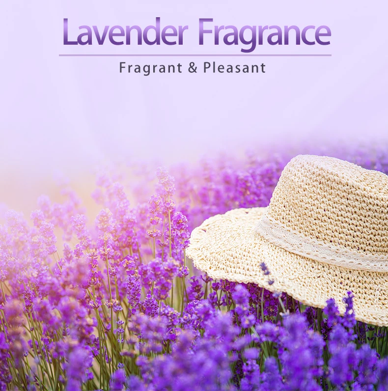 Pleasant Lavender Fragrance 