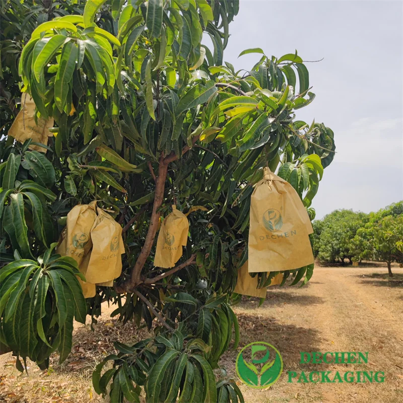 Mango Bags Tjc Mango Covering Fruit Protection Bags Bunnings