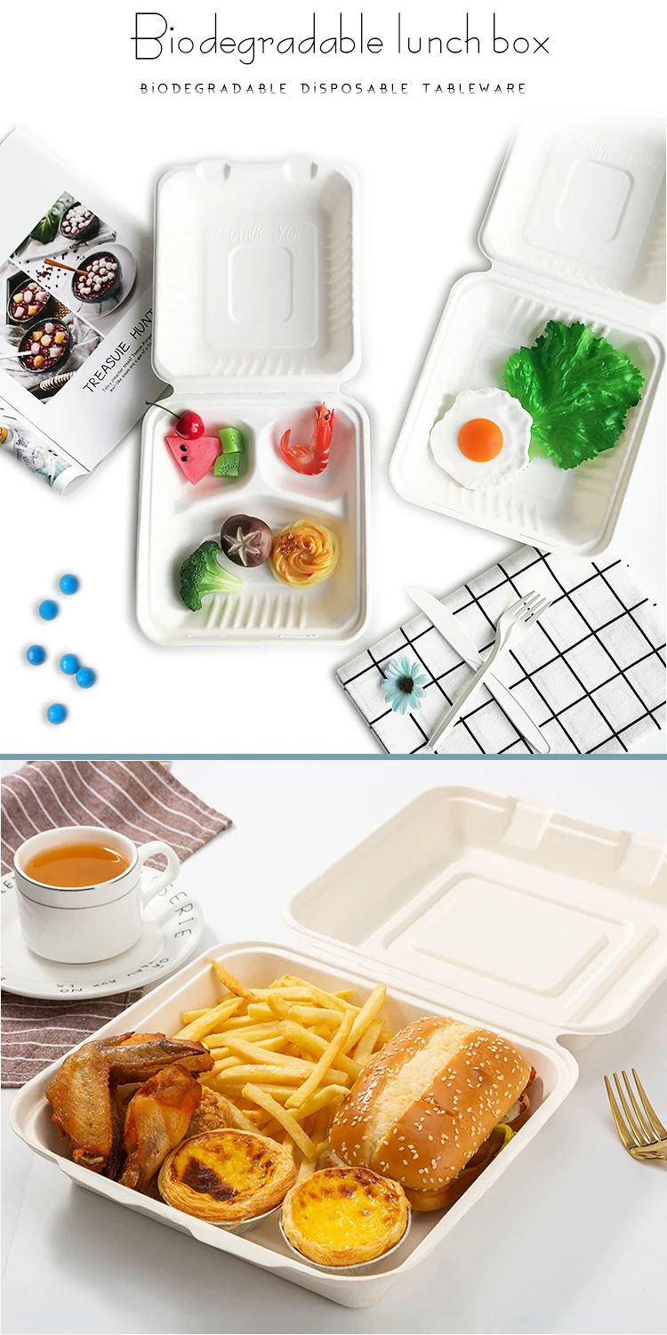 sugarcane bowls plates cups square box bagasse food container manufacturers
