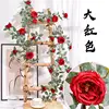 Vid de rosas grandes de Austin - Rojo