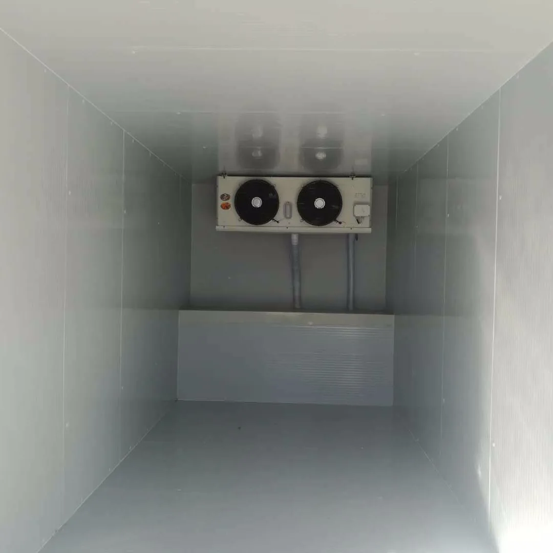 Led Light Cold Storage Room Blast Freezer Evaporative Air Cooled Compressor Condensing Units Cold Storage for Food