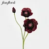 Borgogna-10.L0114