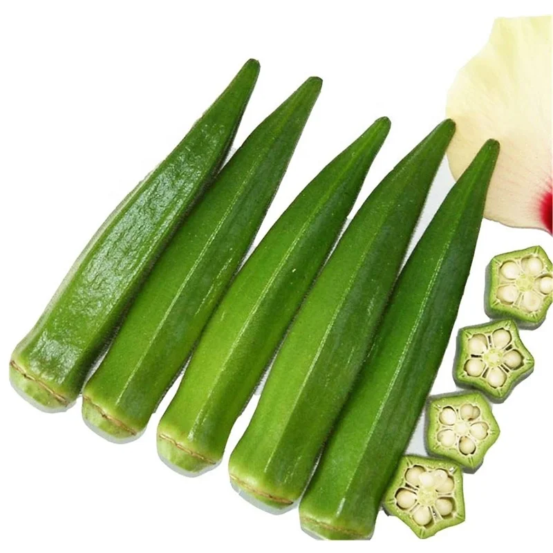 HTB1Y9bicbus3KVjSZKbq6xqkFXaN.jpg