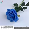 Single Manta Rose WY Blue