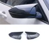 Carbon Fiber Look