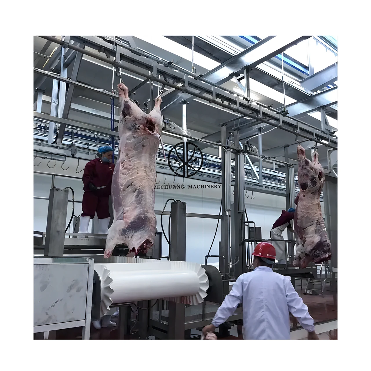 Specially Customized Buffalo Abattoir Equipment Floor Type White Offal Synchronous Conveyor For Bull Slaughtering Machinery