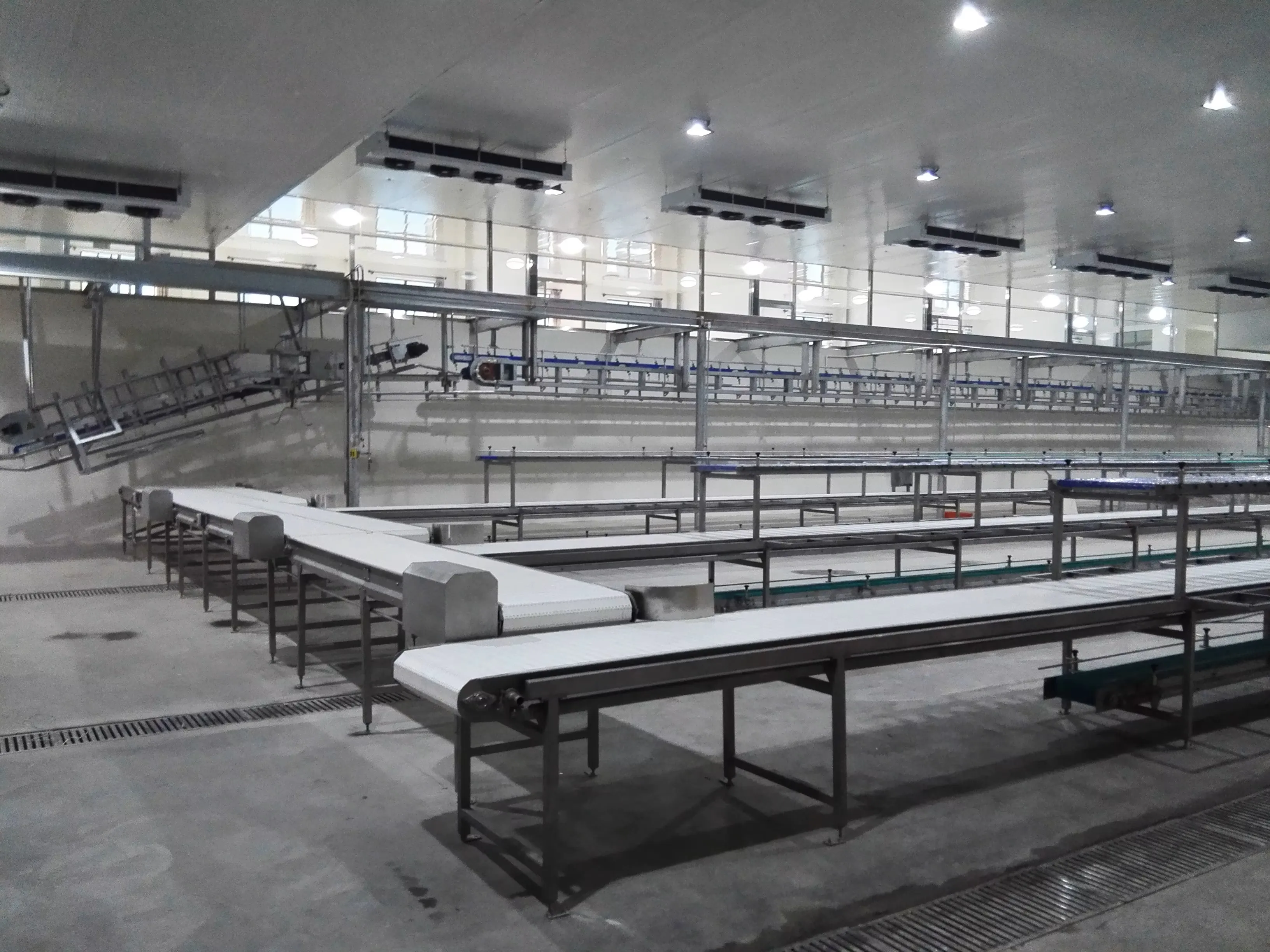 Automatic meat cutting lines for slaughterhouses and food processing plants