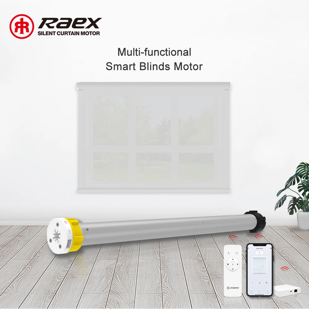Indoor Motorized Raex Tuya Shade Outdoor Homekit Smart Roller Blind Motor