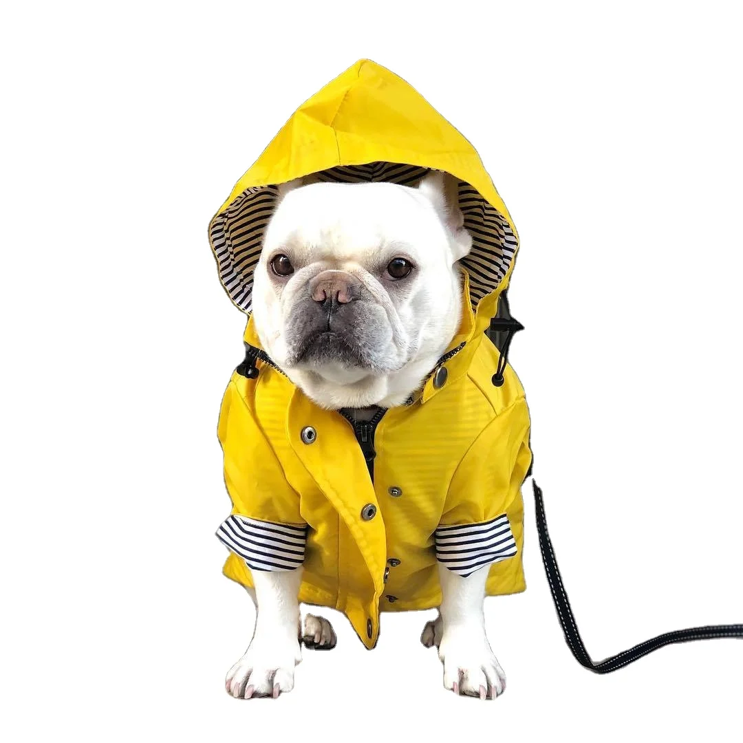 Wholesale Spring Luxury Waterproof Raining Buttons Pet Pets Dog Jacket