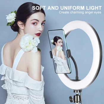 CCT Dimmable Ringlight  3000K-6500K Photography Makeup  10 Inch LED Ring Light detail image