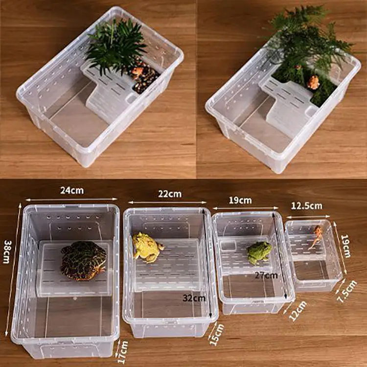 Reptile Transparency Plastic Cage Insect Breeding Cage Turtle Habitat