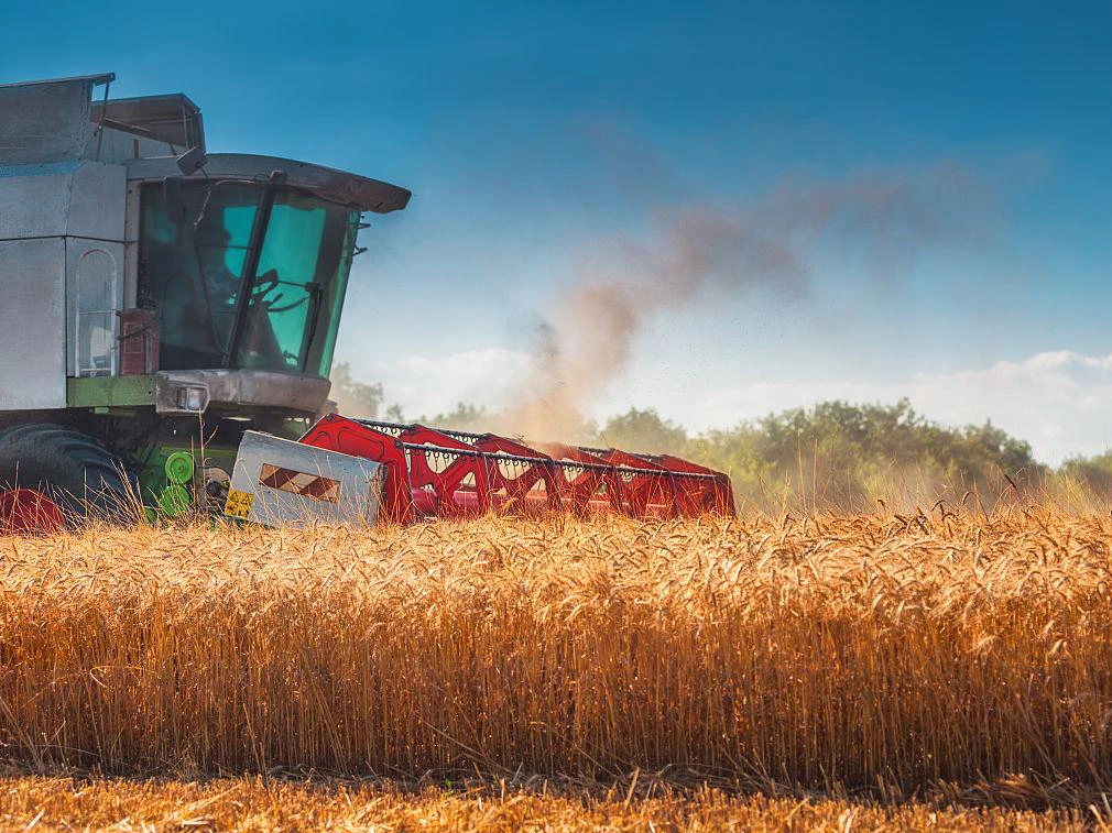 Cheap Price Corn Rice Combine Harvester Farmer Machines Harvester 4yz