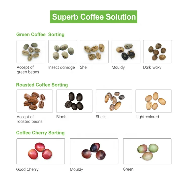 Wesort Automatic Green Coffee Bean Color Sorter Optical Cocoa Beans Sorting Machine with Pump Bearing Supplied Optical Sorter
