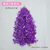 10 deep purple orchids